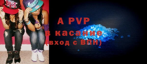 гашик Майский