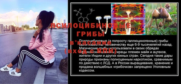 гашик Майский