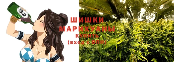 дурь Мегион