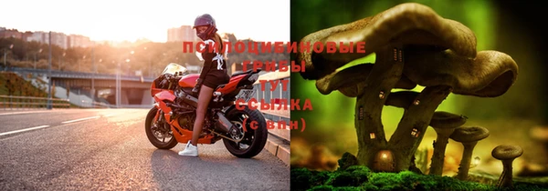 альфа пвп Ачинск