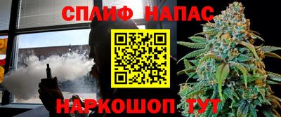ECSTASY Камышлов
