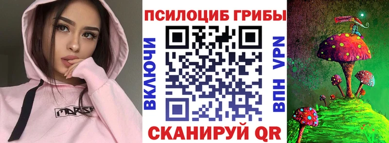 блэк спрут онион  Сарапул  Галлюциногенные грибы Psilocybe 