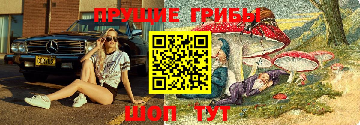Псилоцибиновые грибы MAGIC MUSHROOMS Сарапул